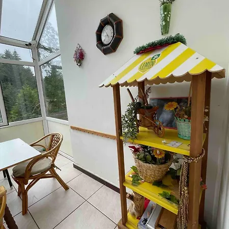 Celesta-camere De Inchiriat Willa Predeal